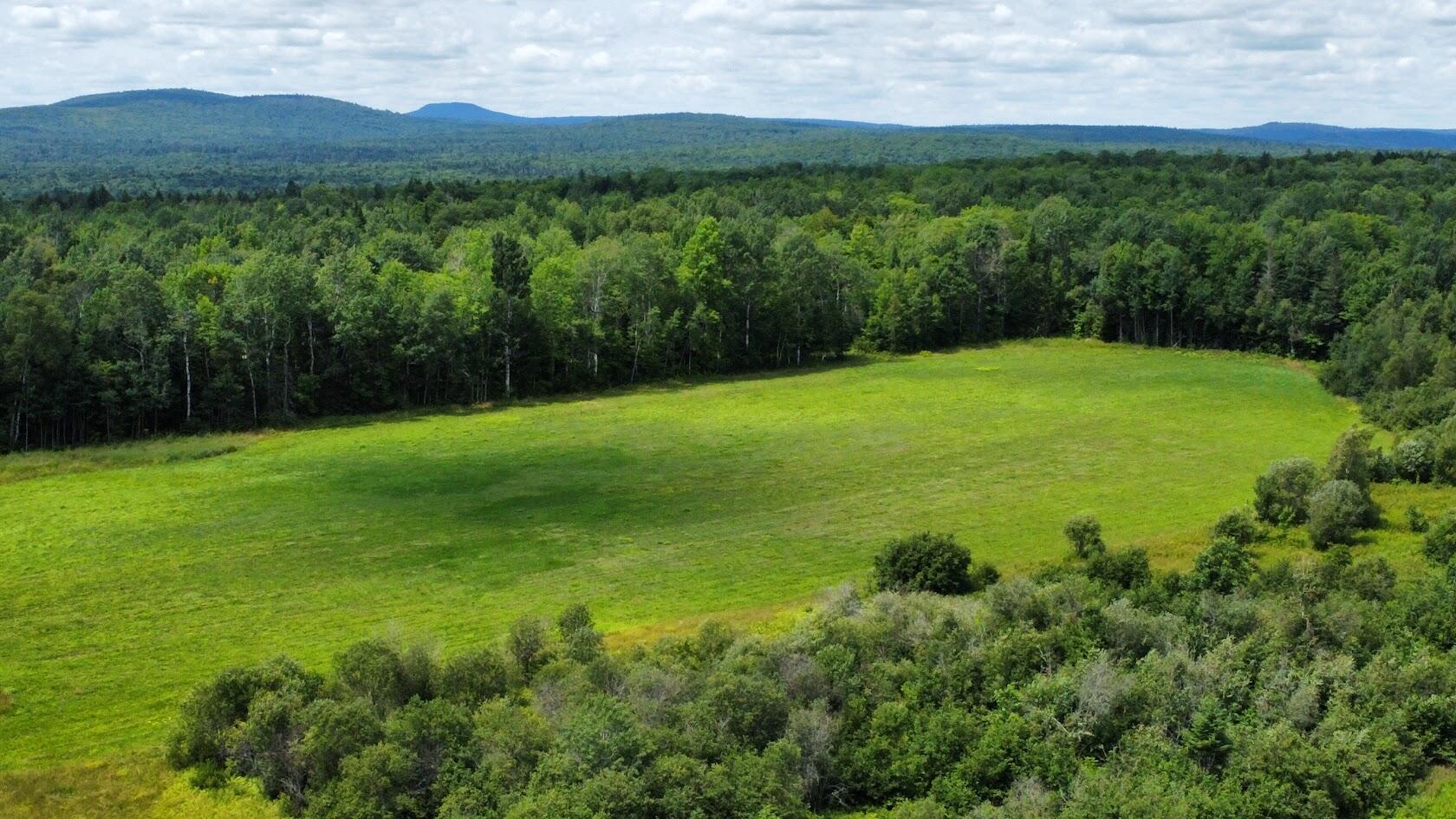 Lot 1 Townline Road Merrill, ME 04780 - Photo 12 of 21 dji_fly_20240722_131004_355_172166828215