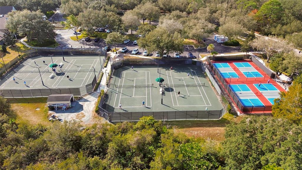 308 Locksley Court Deland, FL 32724 - Photo 48 of 56 a view of swimming pool with a yard