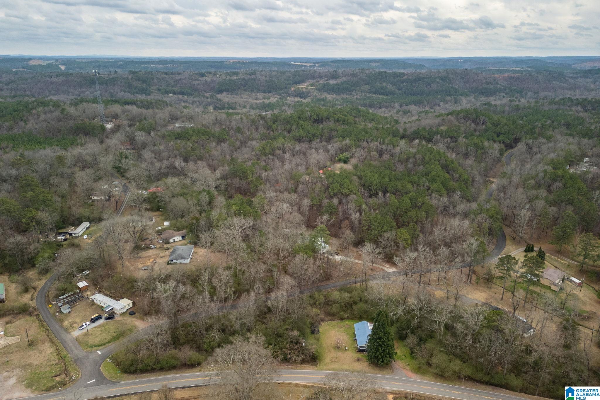 6074 Flat Top Road Dora, AL 35062 - Photo 30 of 32