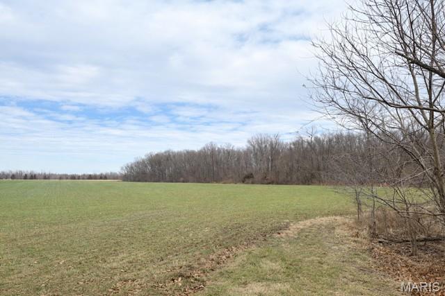 5426 East Dix Irvington Road Walnut Hill, IL 62893 - Photo 11 of 12