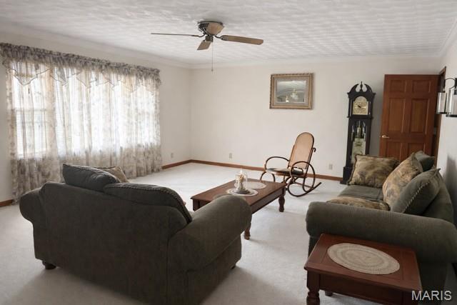 5426 East Dix Irvington Road Walnut Hill, IL 62893 - Photo 3 of 12