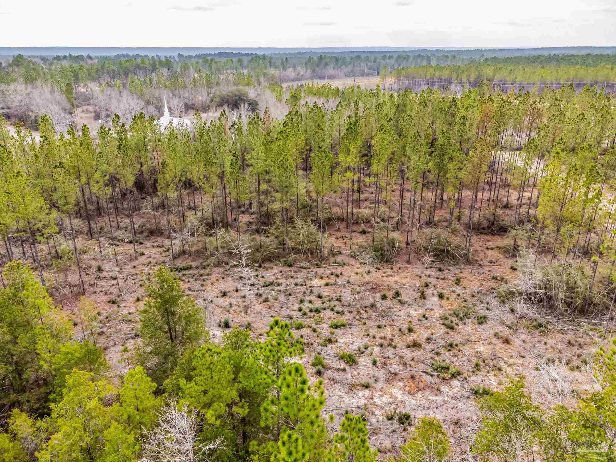 9318 Indian Ford Road, Unit PARCEL B 22 45 / ACRES (APPROXIMATELY) Milton, FL 32570 - Photo 35 of 36