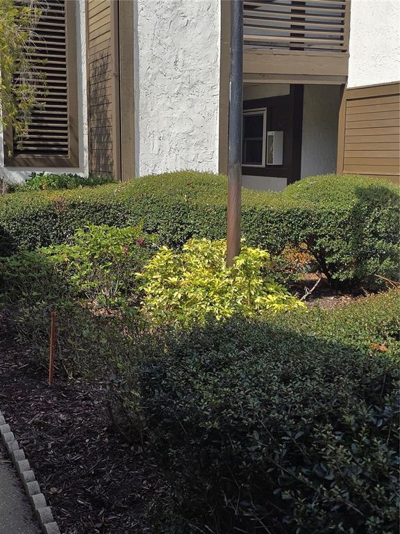 4140 Passport Lane, Unit 101 New Port Richey, FL 34653 - Photo 12 of 36