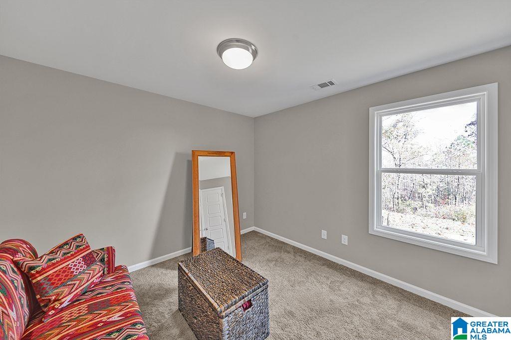 2445 Summit Park Road Odenville, AL 35120 - Photo 17 of 28