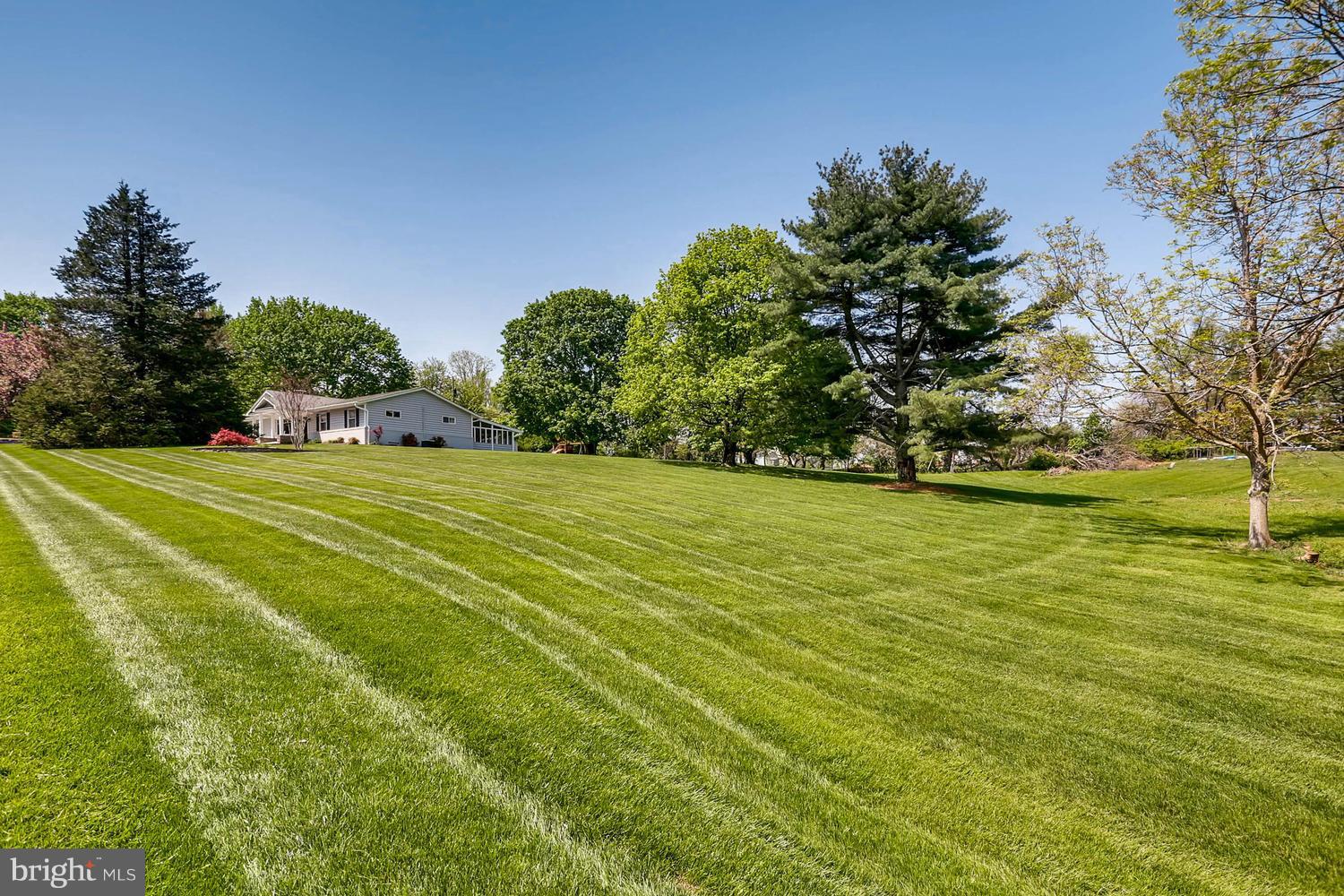 14202 Sunburst Road Baldwin, MD 21013 - Photo 29 of 29 a view of a big yard with an trees