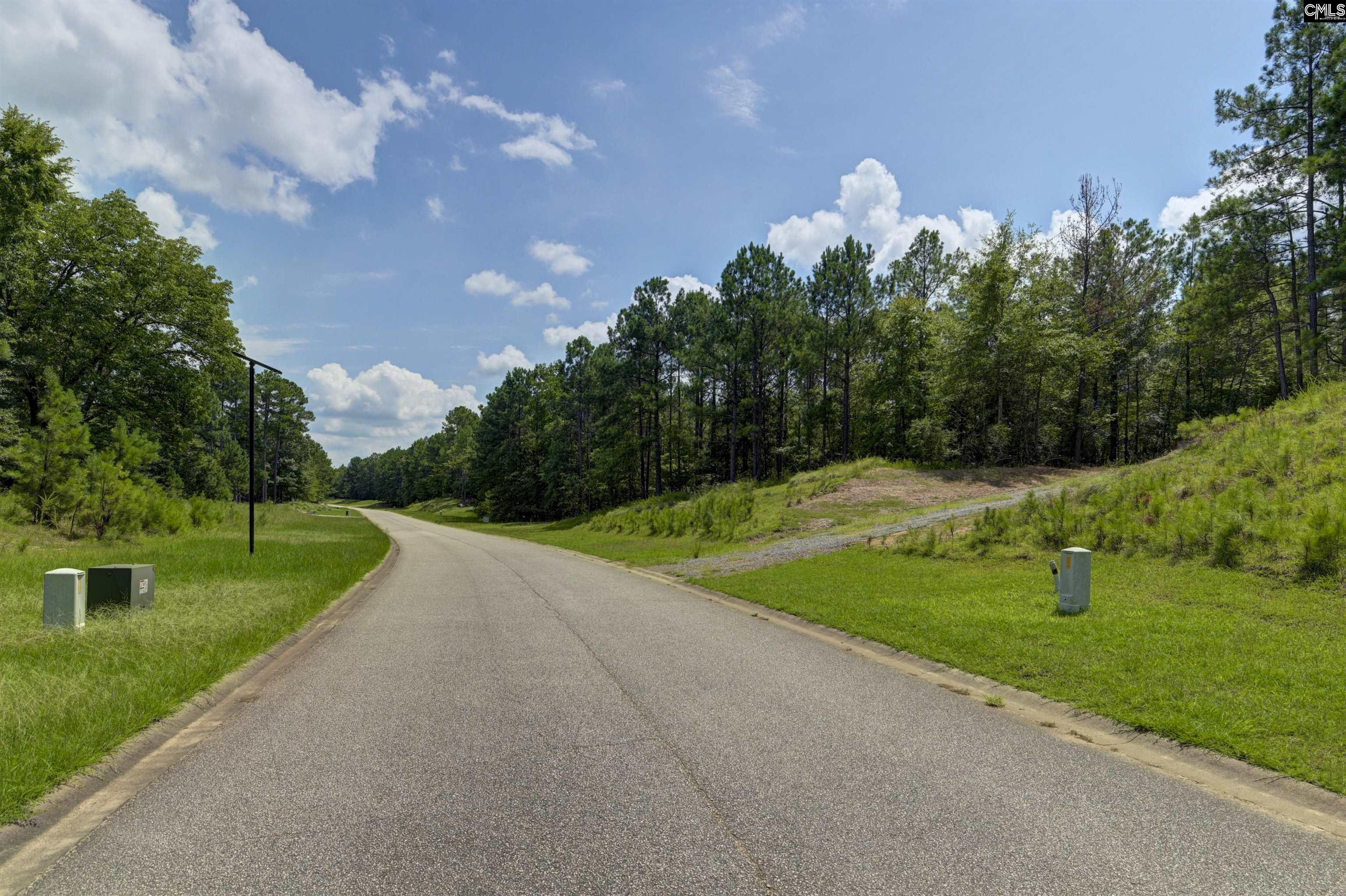 Tbd Retreat Way Ridgeway, SC 29130 - Photo 10 of 26