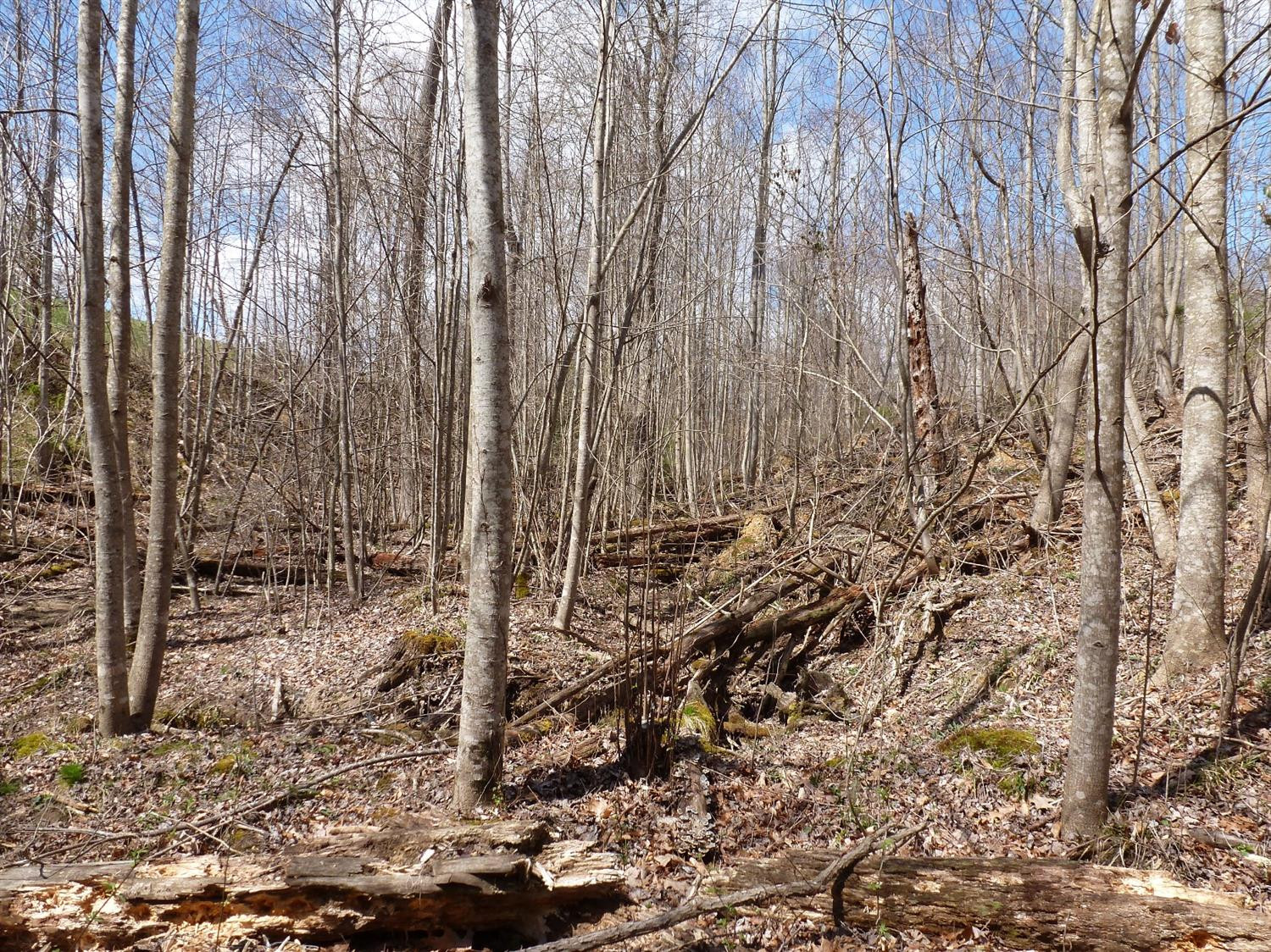 3821 Amos Ridge Road Frenchburg, KY 40322 - Photo 24 of 88 Photo 24