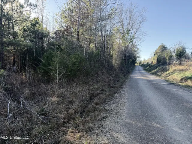 $84,000 | 0 Ben Luckett Road, Camden, MS 39045