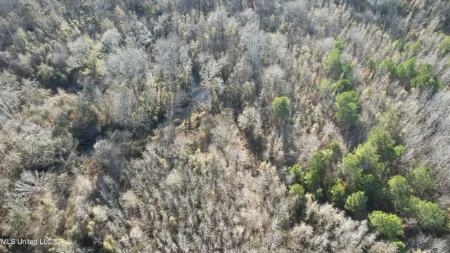 $84,000 | 0 Ben Luckett Road, Camden, MS 39045