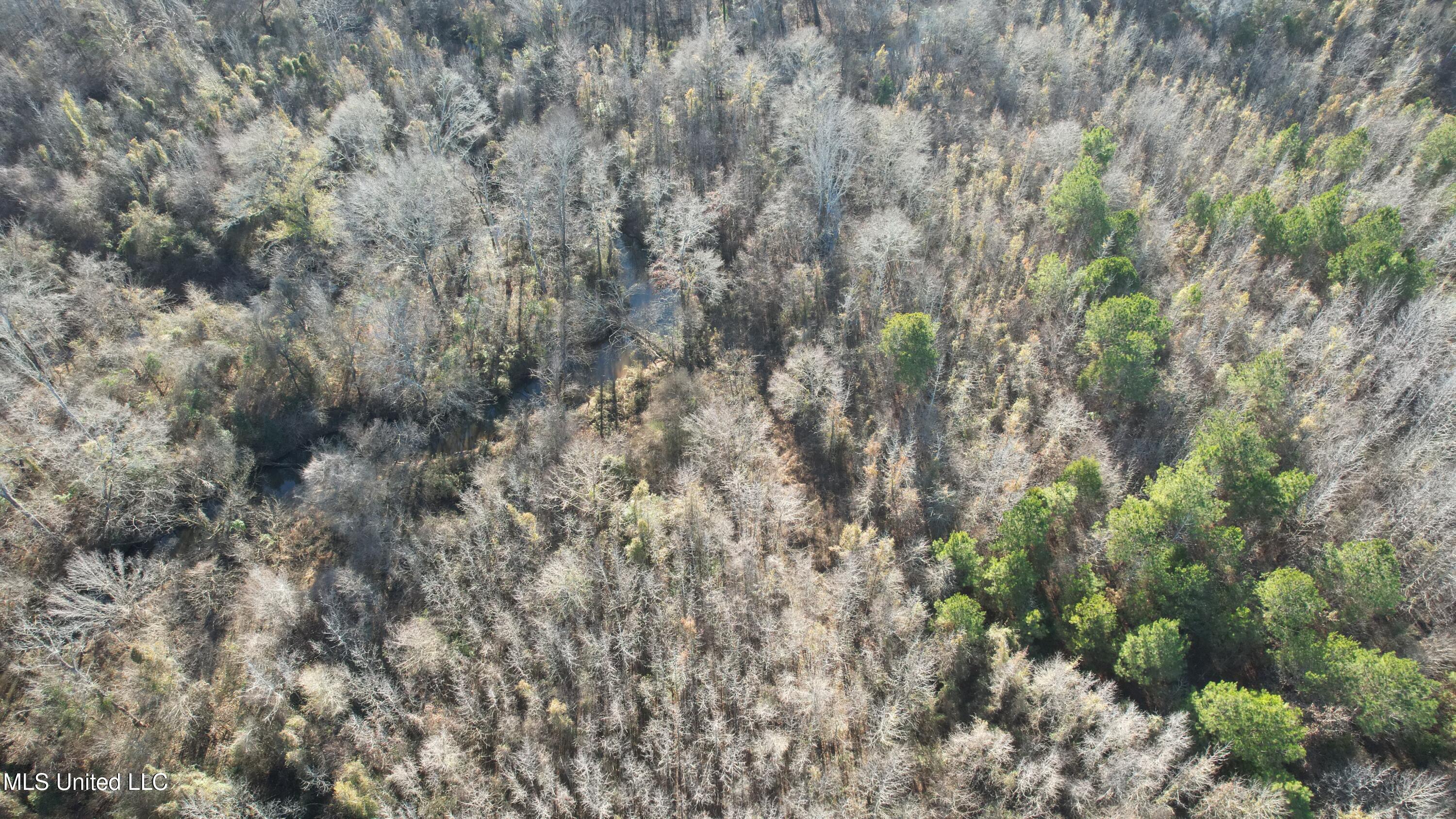 0 Ben Luckett Road Camden, MS 39045 - Photo 11 of 16 11.