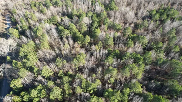 $84,000 | 0 Ben Luckett Road, Camden, MS 39045