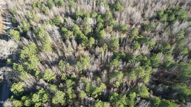 $84,000 | 0 Ben Luckett Road, Camden, MS 39045