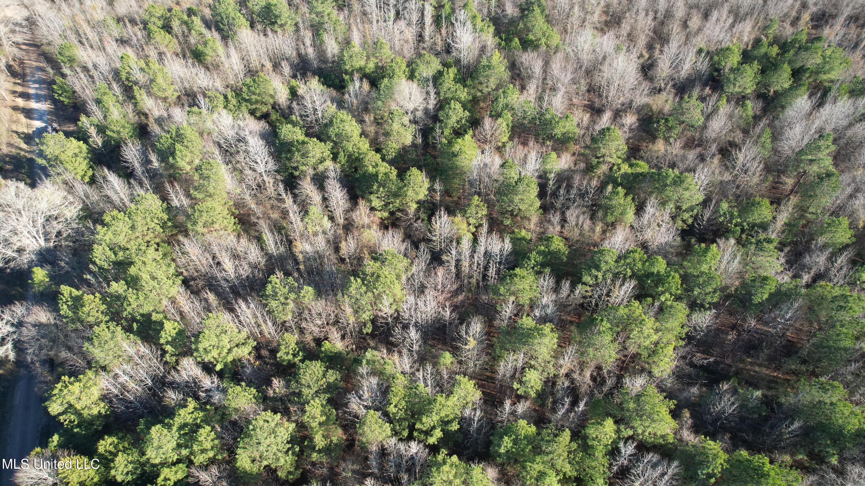 0 Ben Luckett Road Camden, MS 39045 - Photo 12 of 16 12.