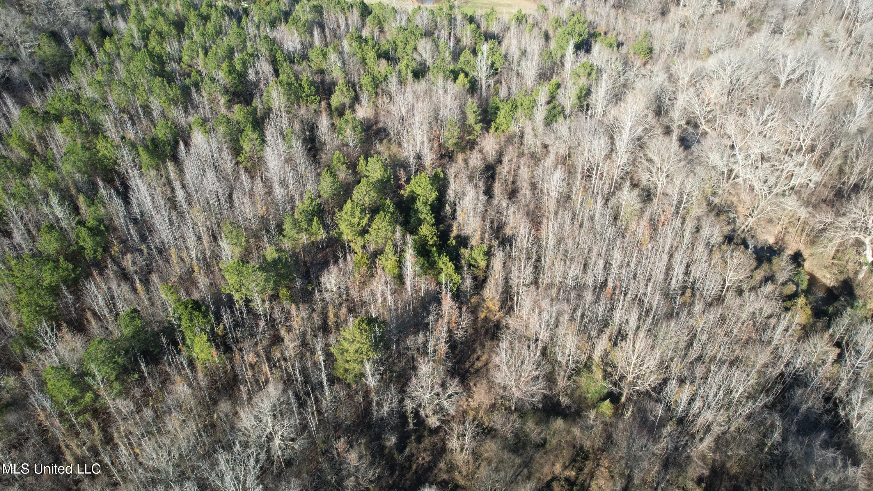 0 Ben Luckett Road Camden, MS 39045 - Photo 13 of 16 13.