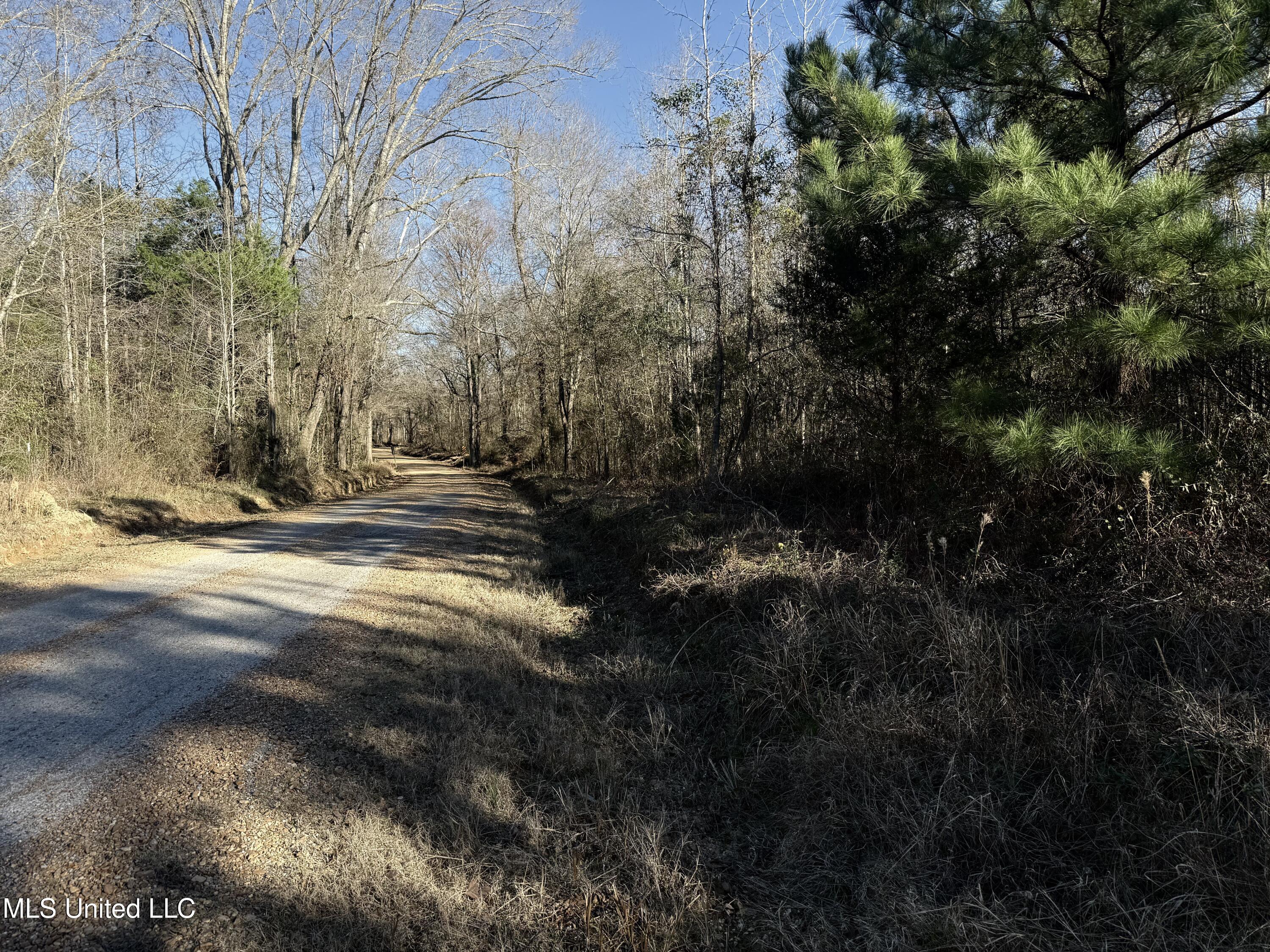 0 Ben Luckett Road Camden, MS 39045 - Photo 2 of 16 2.