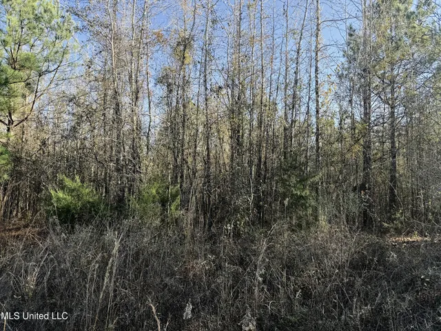 $84,000 | 0 Ben Luckett Road, Camden, MS 39045