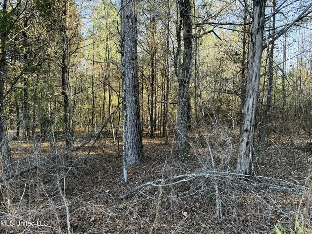 $84,000 | 0 Ben Luckett Road, Camden, MS 39045