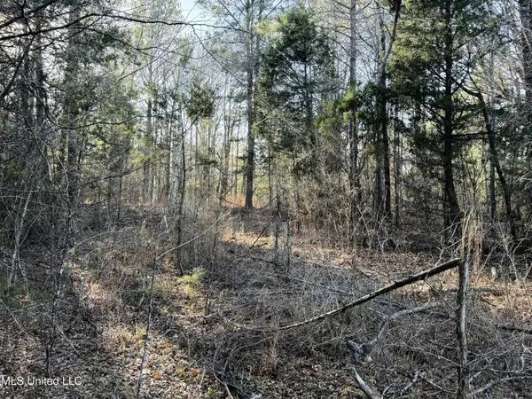 $84,000 | 0 Ben Luckett Road, Camden, MS 39045