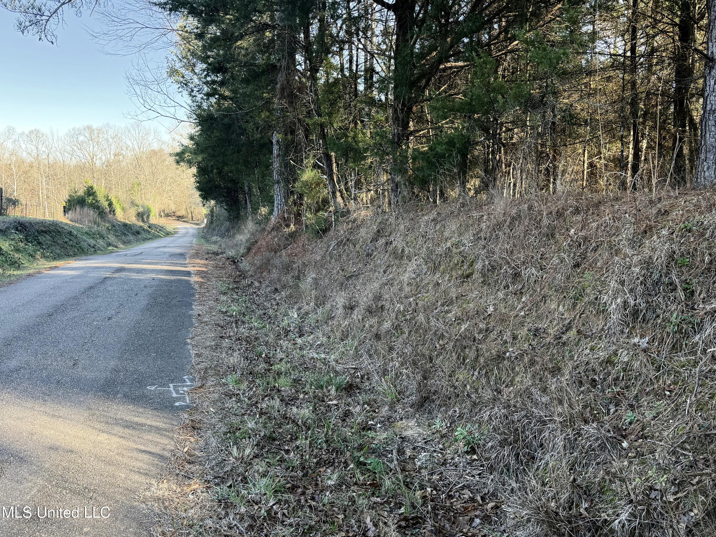 0 Ben Luckett Road Camden, MS 39045 - Photo 7 of 16 7.