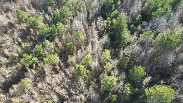 $84,000 | 0 Ben Luckett Road, Camden, MS 39045