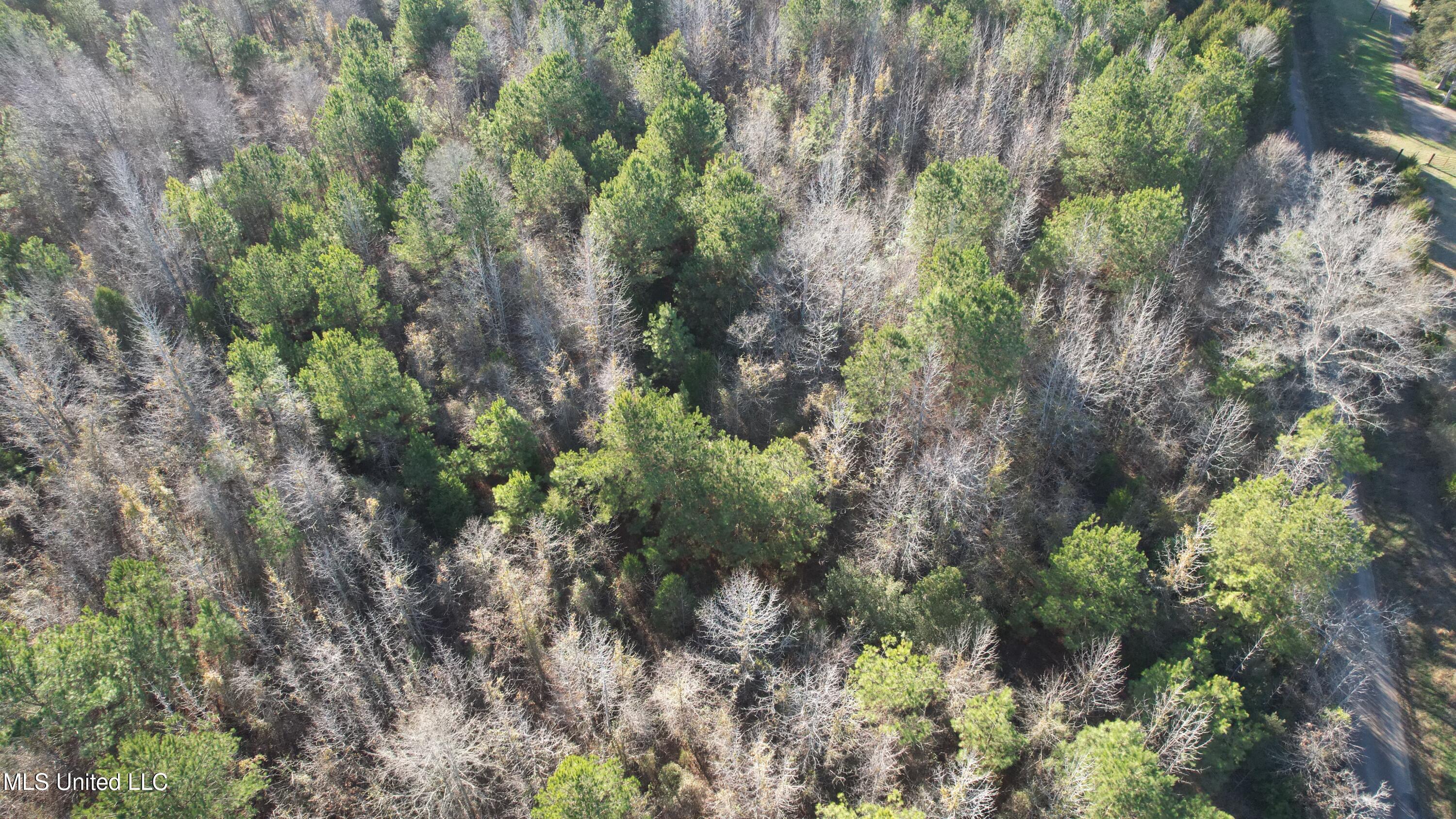 0 Ben Luckett Road Camden, MS 39045 - Photo 9 of 16 9.