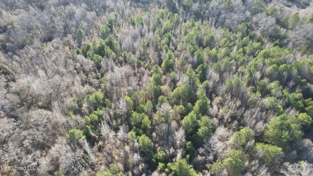 $84,000 | 0 Ben Luckett Road, Camden, MS 39045