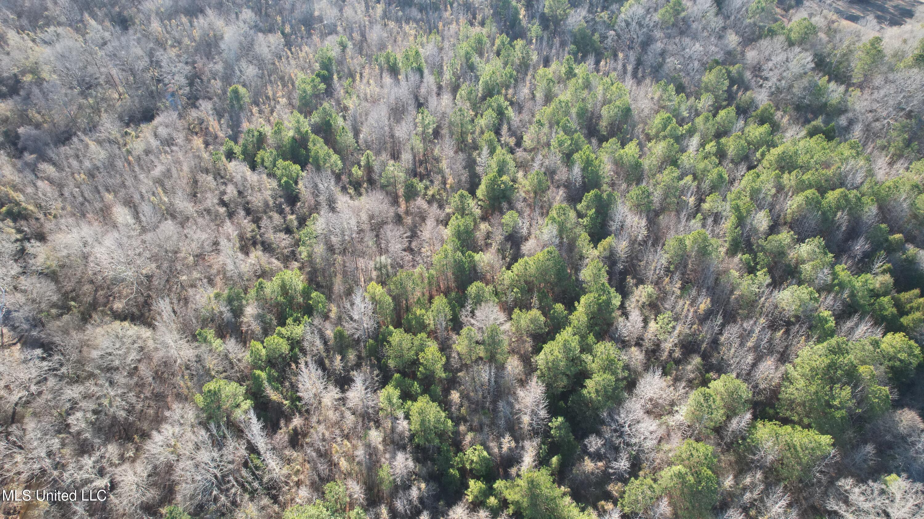 0 Ben Luckett Road Camden, MS 39045 - Photo 10 of 16 10.