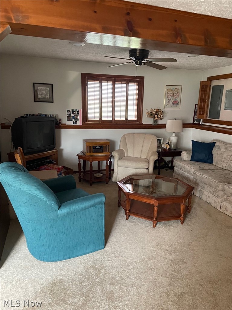3100 Station Road Medina, OH 44256 - Photo 5 of 15 Living room with a textured ceiling, carpet floors, and ceiling fan