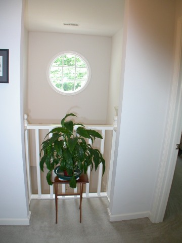 97 Shaftsbury Road, Unit ASHLEY Clemson, SC 29631 - Photo 17 of 25 Gallery Image 17