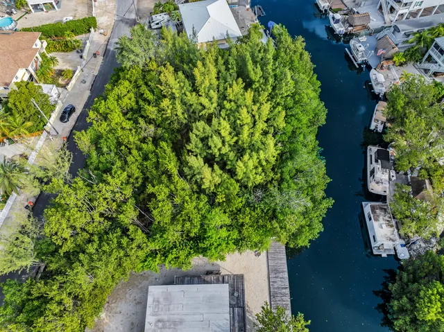 an outdoor space with plants