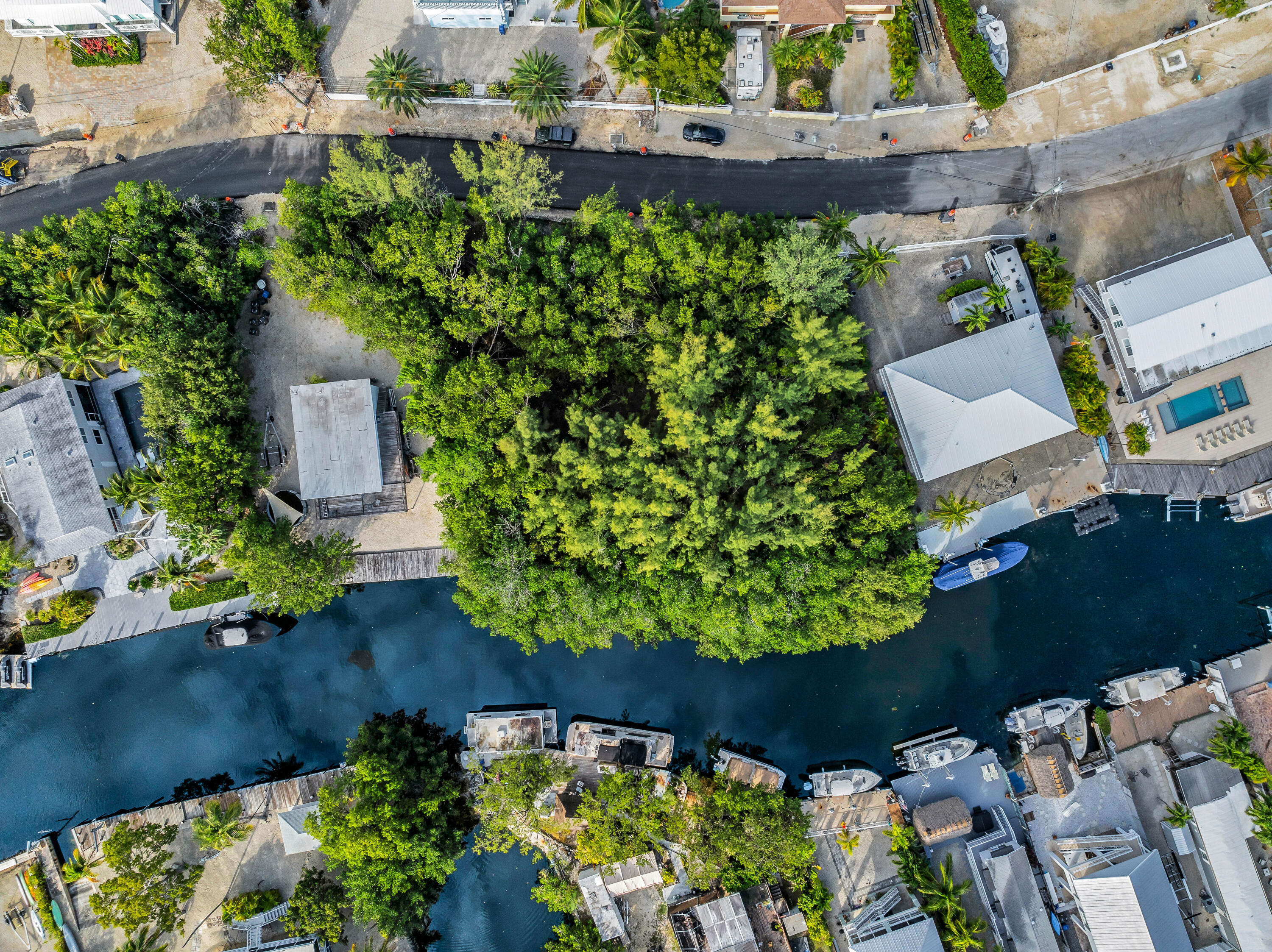 1008 Adams Drive Key Largo, FL 33037 - Photo 3 of 8 an outdoor space with plants