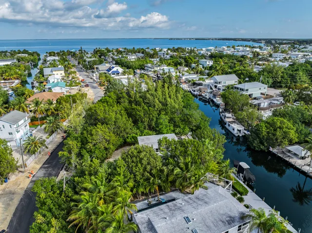 an aerial view of residential houses with outdoor space and trees