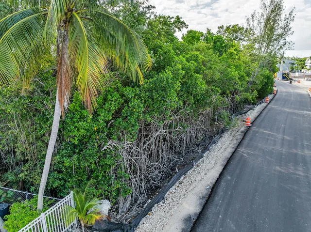 a view of a pathway with a garden