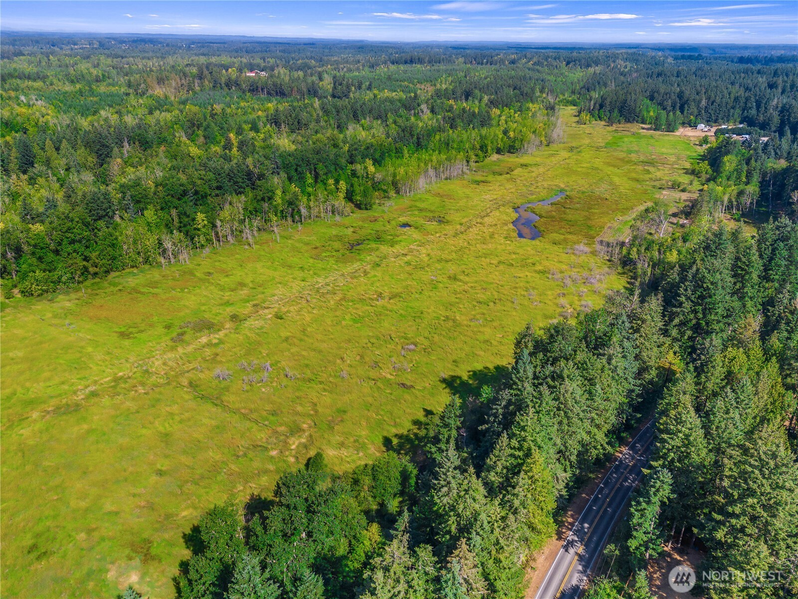 0 Bald Hill Road Southeast Yelm, WA 98597 - Photo 2 of 10 a view of a lake with a mountain in the background