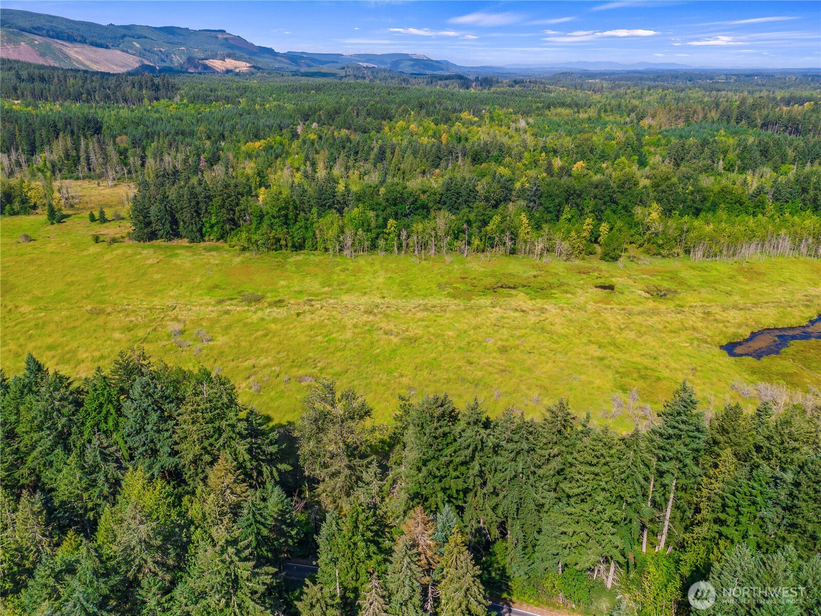 0 Bald Hill Road Southeast Yelm, WA 98597 - Photo 3 of 10 a view of an outdoor space and mountain view