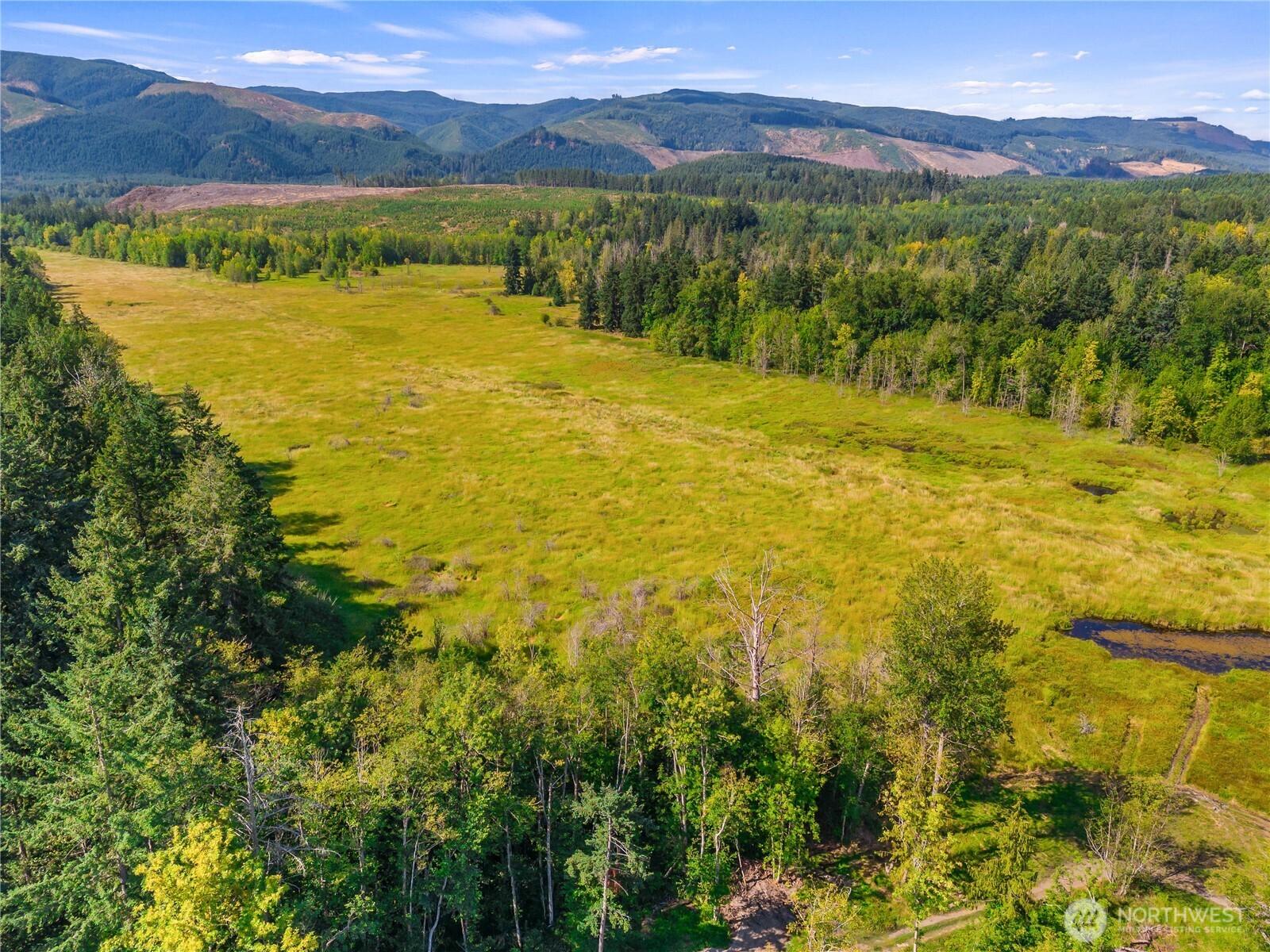 0 Bald Hill Road Southeast Yelm, WA 98597 - Photo 4 of 10 a view of an outdoor space and a lake view