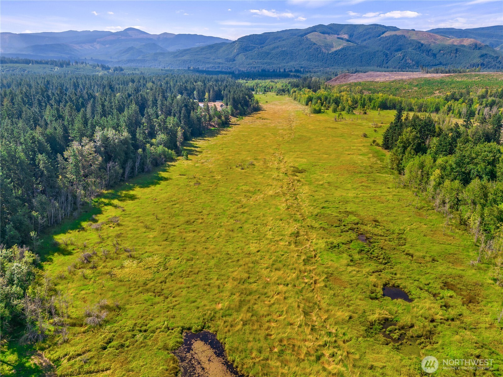 0 Bald Hill Road Southeast Yelm, WA 98597 - Photo 5 of 10 a view of a lake with mountains in the background