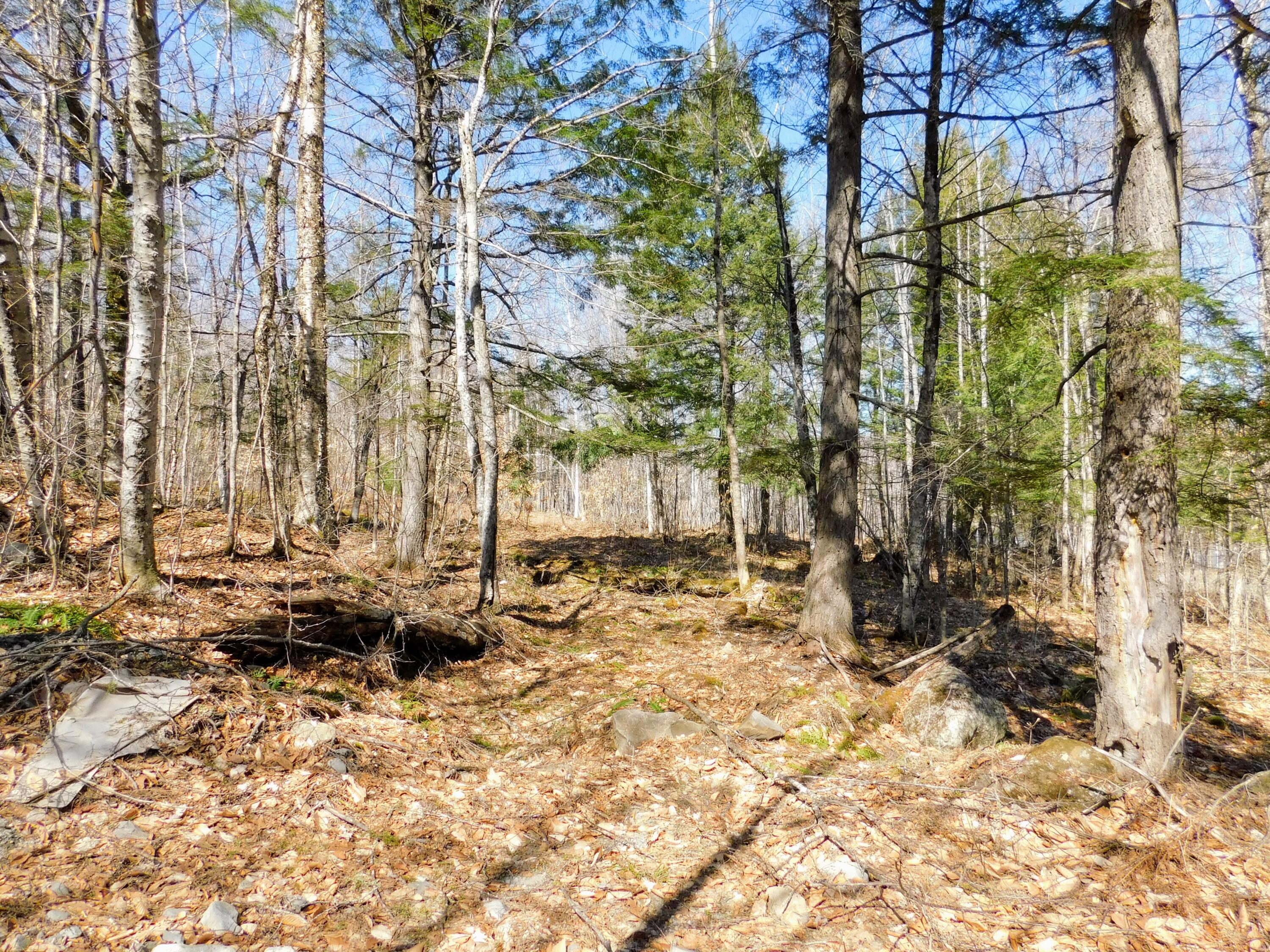 Lot 33 Sunset Ridge Road Sebec, ME 04481 - Photo 5 of 17 DSCN1607
