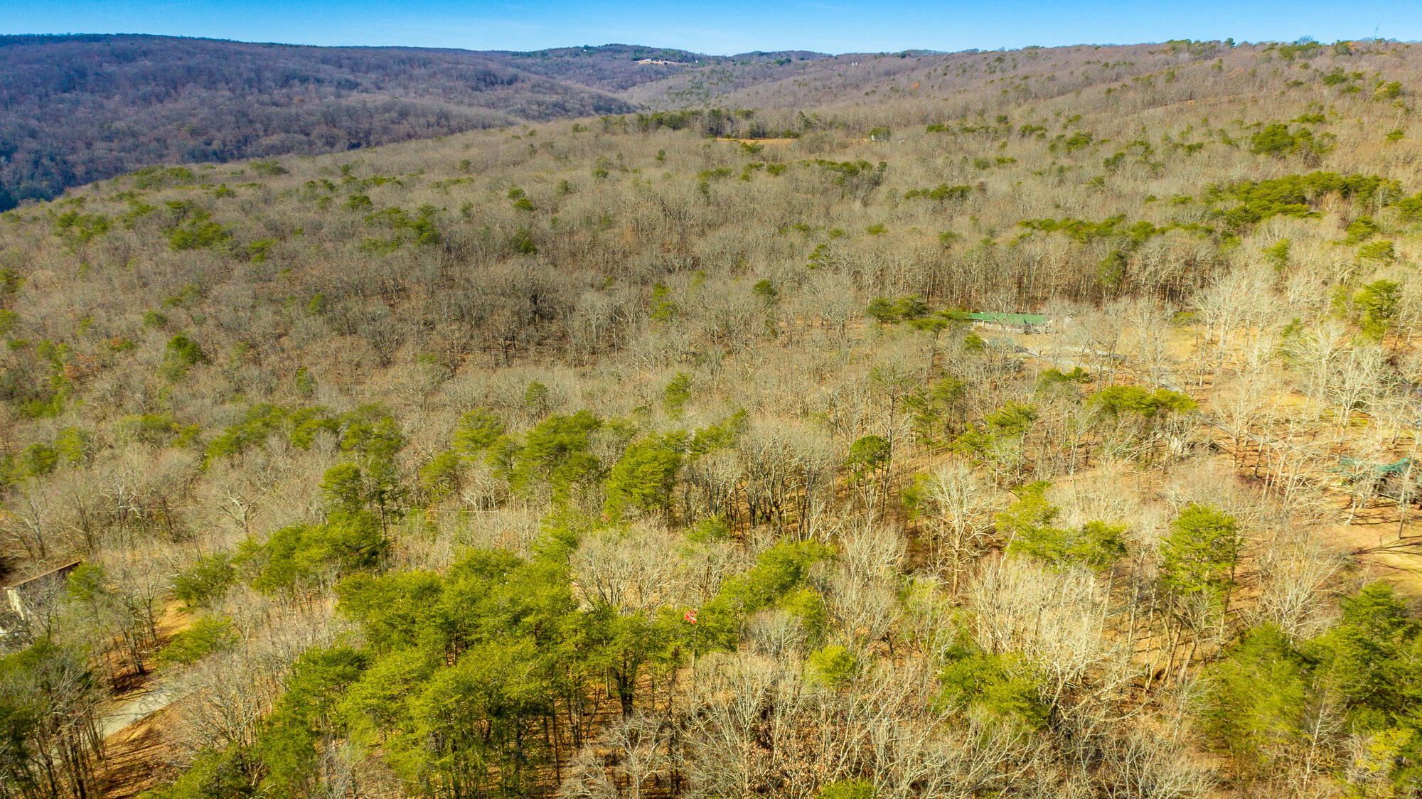 172 Camp Road Dunlap, TN 37327 - Photo 14 of 35 172 Camp Road Exterior HD-0341