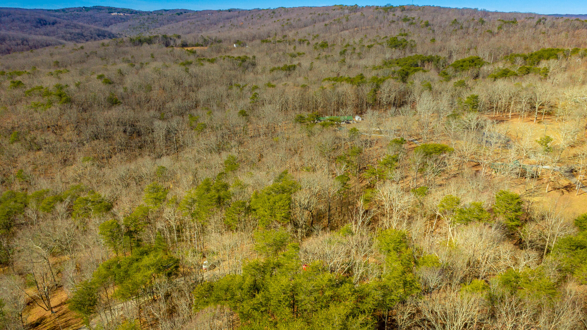 172 Camp Road Dunlap, TN 37327 - Photo 16 of 35 172 Camp Road Exterior HD-0343