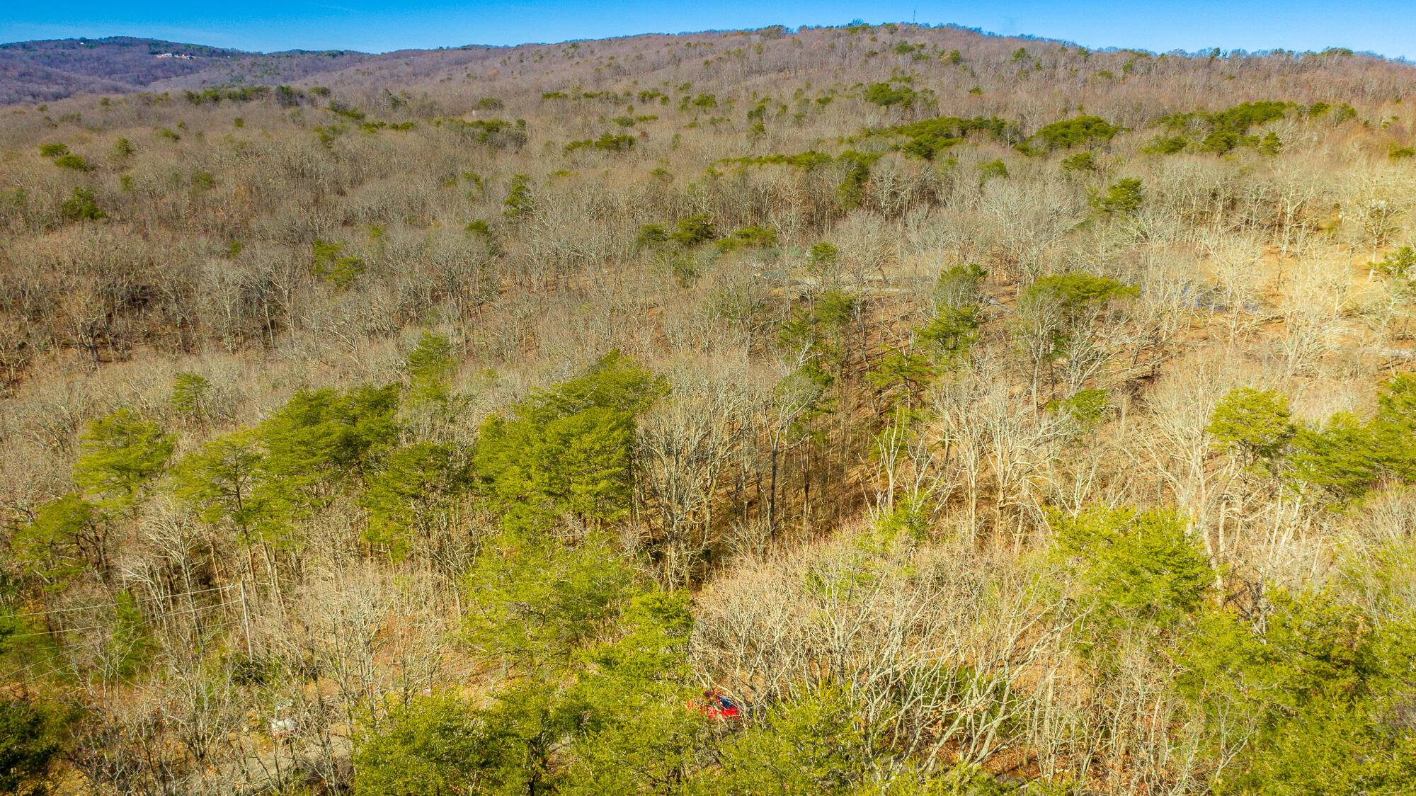 172 Camp Road Dunlap, TN 37327 - Photo 28 of 35 172 Camp Road Exterior HD-0355