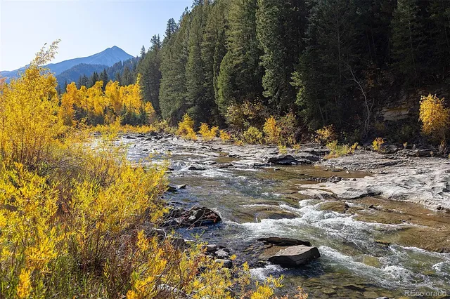 a view of swimming pool with a yard
