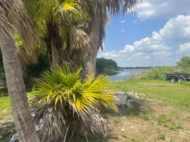 a view of a yard with a palm tree