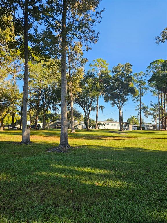 113 Maple Drive DeBary, FL 32713 - Photo 36 of 45