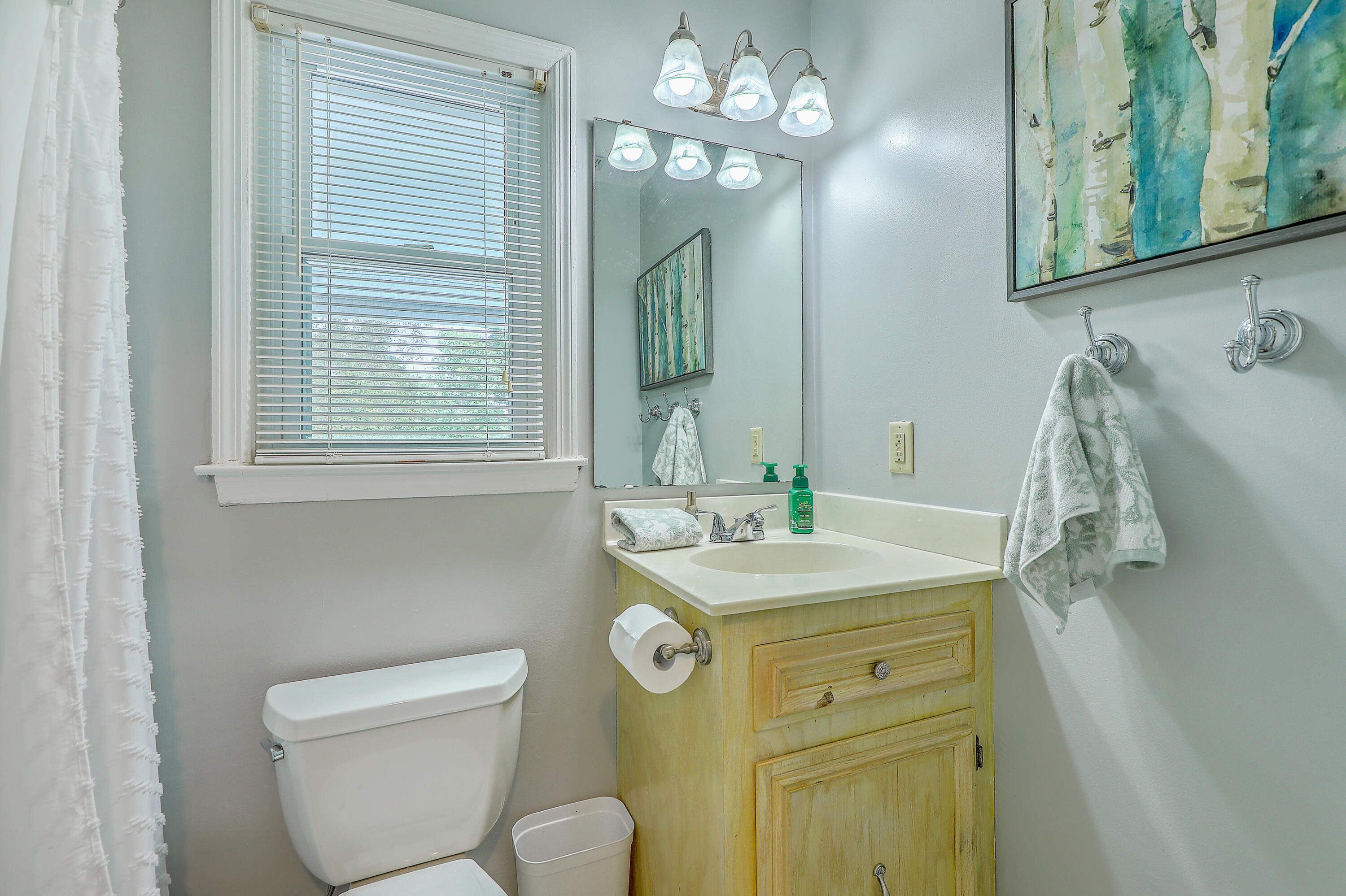 1105 Stone Pines Road Ladson, SC 29456 - Photo 22 of 47 Hall bathroom