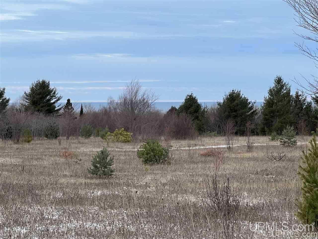 21054 McGunn Creek Road Calumet, MI 49913 - Photo 1 of 49