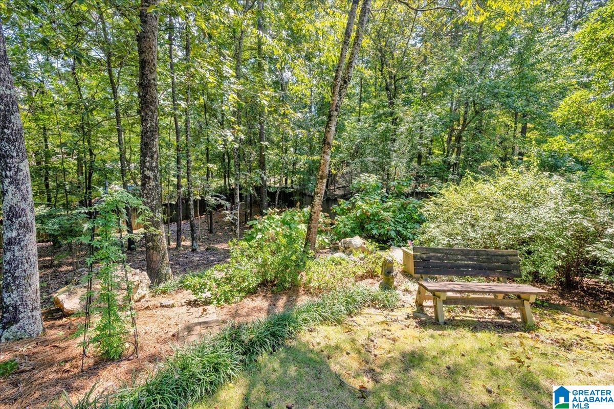 708 Meadow Ridge Court Birmingham, AL 35242 - Photo 58 of 65