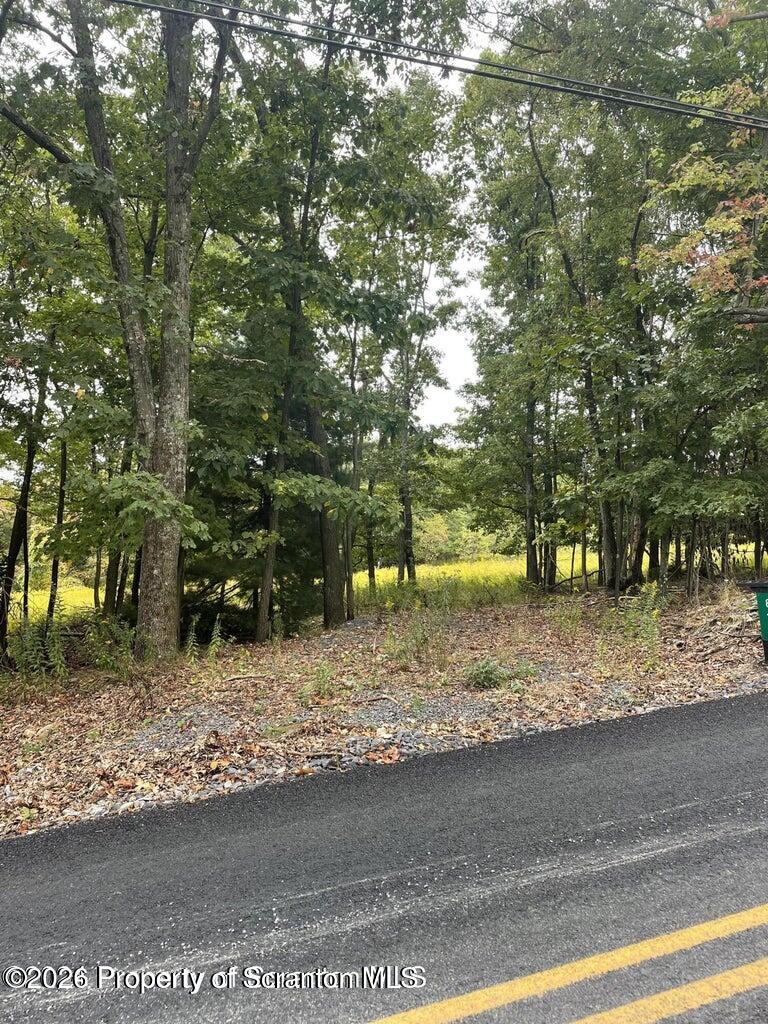 2 Avenue Ransom Pa Scranton, PA 18504 - Photo 4 of 5 photo 3