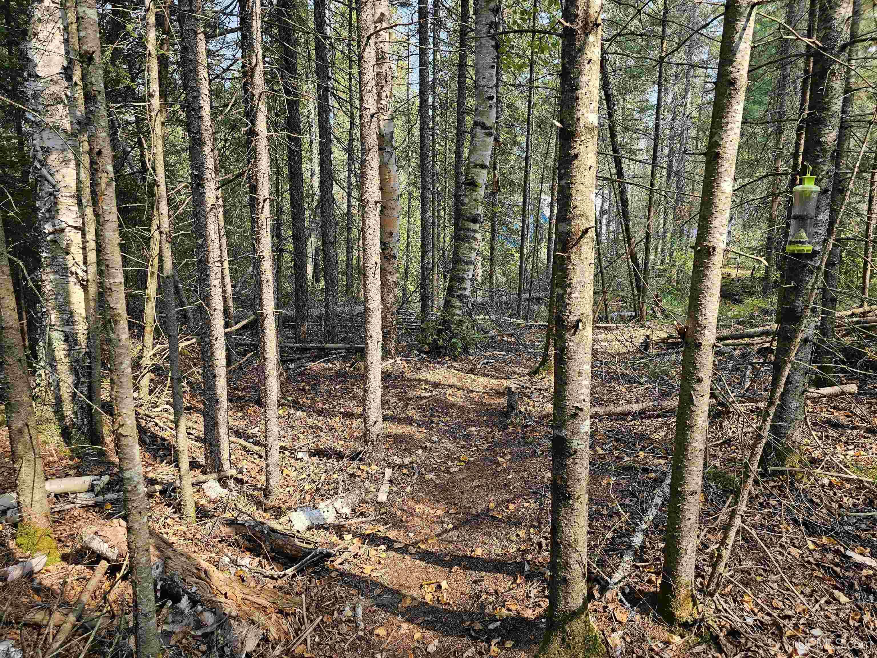 Tbd Willet Lane Ishpeming, MI 49849 - Photo 9 of 25