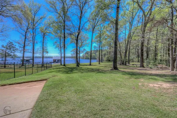 a view of a park with large trees